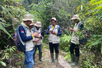 BKSDA Sumbar-SINTAS bentuk patroli anak nagari  cegah konflik harimau