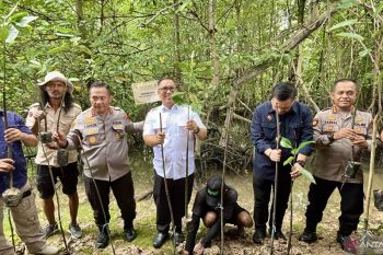 Wagub Nyanyang: Menjaga alam jadi bagian dari perjuangan buruh Batam