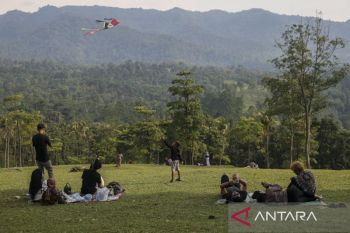 Agrowisata Bukit Waruwangi