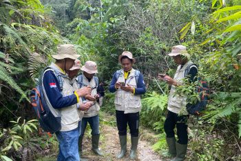 BKSDA Sumbar-SINTAS Indonesia bentuk Pagari di Koto Tinggi cegah konflik harimau