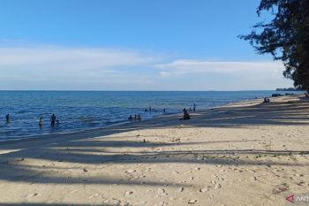 Jumlah kunjungan wisman ke Kepri tunjukkan tren naik pada Maret 2025