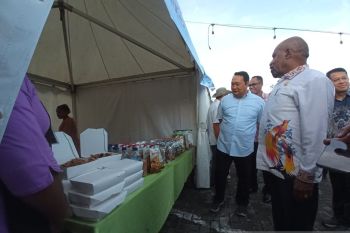 Pemkab Jayapura bagi tiga zona pembangunan perekonomian