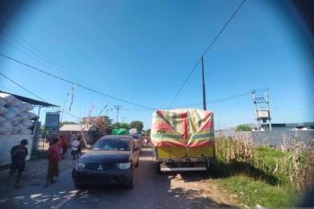 Bulog serap 10.000 ton jagung petani Dompu mulai hari ini