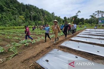 Penjabat Gubernur Papua sebut swasembada pangan tingkatkan ketahanan ekonomi