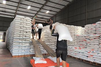 Mentan belum terima ada laporan beras rusak di gudang Bulog