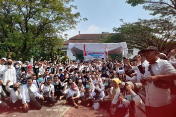 Pegawai honorer minta Pemkot Serang segera usulkan pengangkatan PPPK