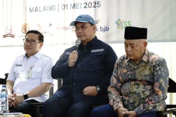 Peternak lokal terlindungi pasca penghentian impor daging kambing