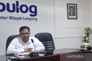 Bulog Lampung tambah 40 unit gudang sewa gabah karena gudang penuh