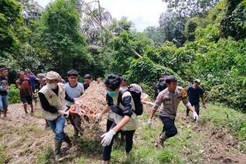 BKSDA Sumbar tangani 11 konflik satwa di Agam selama empat bulan