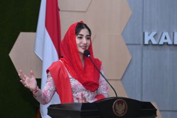 Anggota DPR dorong pemerintah perhatikan kesejahteraan kader Posyandu