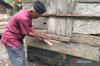 Beruang Liar "Teror" Warga Gampong Ie Lhob Abdya, BKSDA Diminta Turun Tangan