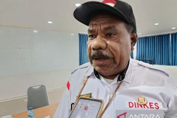 Dinkes Jayawijaya siagakan nakes 40 puskesmas selama bencana banjir-longsor