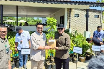 Wamenhut RI serahkan 3.000 tanaman pada tujuh kota/kabupaten di Kalsel