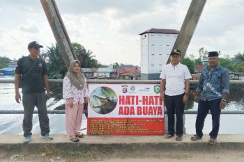 BKSDA Sampit observasi lokasi serangan buaya