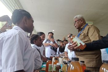 Pemkab Mimika luncurkan Hari Cita-Cita di semua satuan pendidikan