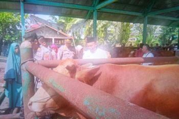 Pemkab Pasaman Barat ingatkan hewan kurban harus miliki SKKH