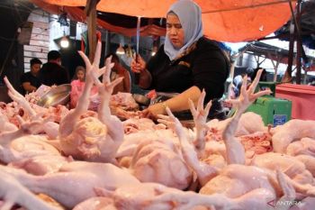 Harga pangan hari ini daging ayam Rp34.438/kg, cabai rawit Rp57.117/kg