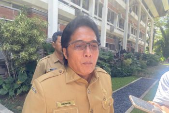 Wagub Bali: Mandiri energi solusi buntut pemadaman listrik