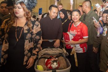 Legislator DKI memenangkan lelang baju eksklusif kucing milik Presiden Prabowo