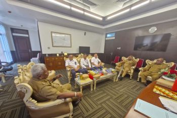 PLN-Pemkab Mimika perkuat sinergi membangun infrastruktur kelistrikan