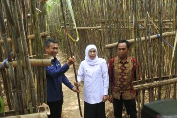 Gubernur Jawa Timur meluncurkan KUR petani tebu