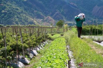 Izin alih fungsi lahan pertanian di NTB diperketat