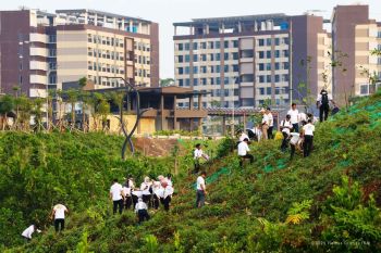 Otorita IKN hijaukan lahan 80 hektare untuk wujudkan kota hutan inklusif
