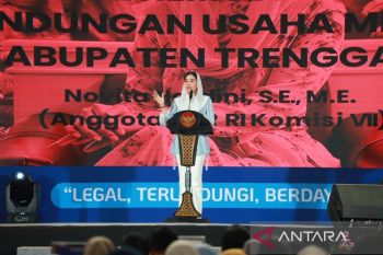 Anggota DPR :  Kesejahteraan para pelaku UMKM jadi fondasi ekonomi daerah dan nasional