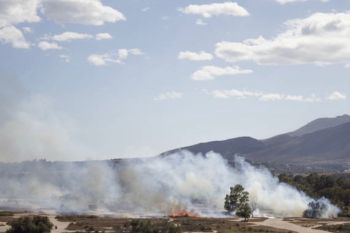 Fakta-fakta tentang kebakaran di Israel seiring serangan di Gaza