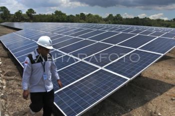 IESR menemukan potensi EBT di pulau Timor NTT capai 30 GW