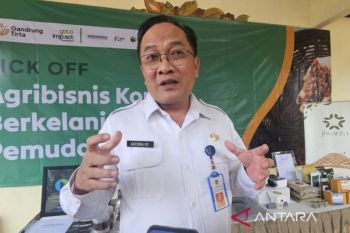 Pemkab Malang genjot produksi kopi untuk lokal kejar potensi ekspor