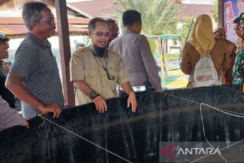 Pabrik pakan ikan Kotim mulai layani permintaan
