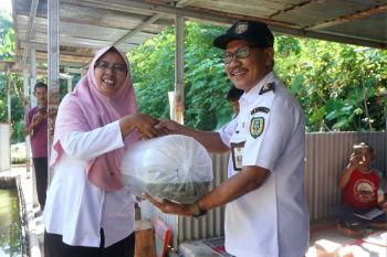 DKPP Kota Madiun lakukan penebaran benih ikan guna jaga ekosistem sungai
