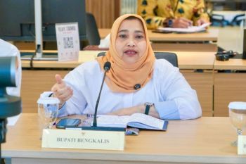 Bupati Bengkalis sampaikan komitmen tingkatkan layanan kesehatan ke Menteri Kesehatan