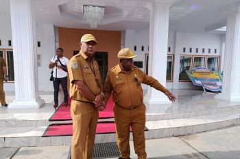 Diskominfo Papua Pegunungan mendorong percepatan penggunaan absen digital