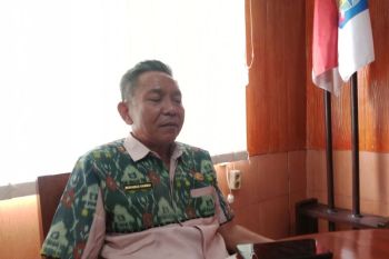 Distan pastikan sapi kurban di Lombok Tengah bebas PMK