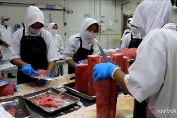 Mendag melepas ekspor tuna asal Sumbar ke UEA senilai Rp1,87 miliar