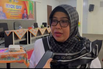 Enam orang meninggal dunia dalam kasus DBD di Inhil