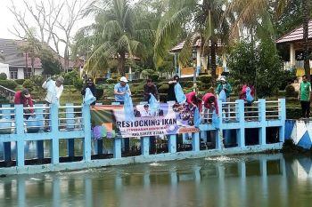 Pj Bupati Barut tebar 13.000 bibit ikan di kolam pemkab