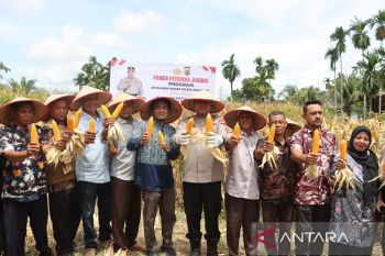 Polres Aceh Barat panen 10,8 ton jagung tingkatkan ketahanan pangan