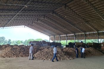30 pabrik tapioka di Lampung ikuti Instruksi Gubernur soal harga ubi kayu