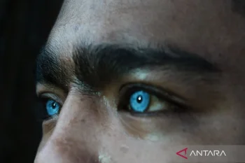 Fenomena mata biru Suku Buton