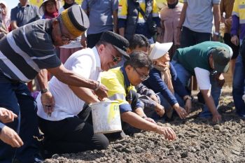 Wako Palu perintahkan Dinas Pertanian dampingi petani bawang