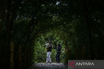 Wisata Ketapang Urban Aquaculture di Tangerang