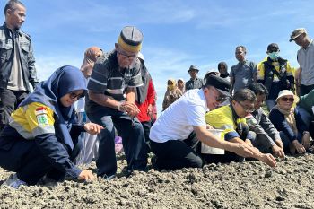 CPM beri bantuan bibit bawang merah untuk kelompok tani di Tanamodindi