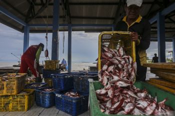 Pemprov Banten pasok kekurangan ikan dari Cirebon