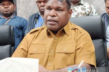 Pemkab Jayawijaya mendorong pembentukan perda perlindungan kawasan hutan