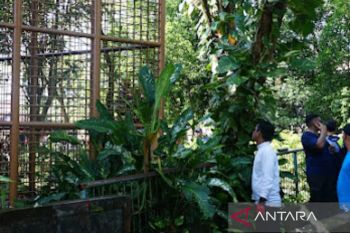 Memprihatinkan, Kebun Binatang Jahri Saleh Banjarmasin perlu perbaikan