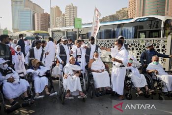 PPIH di Arab Saudi kembali ingatkan jamaah agar ingat nomor Bus Shalawat dan terminal