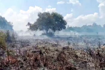 BPBD Kobar siaga hadapi karhutla